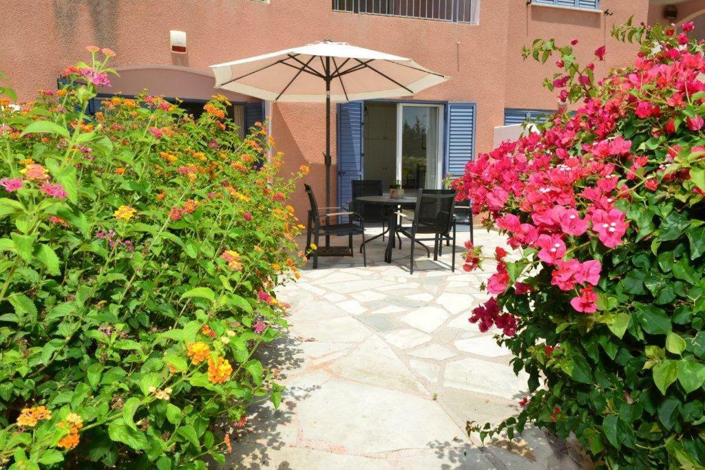 Limnaria Villas Sunny Garden Apartment بافوس المظهر الخارجي الصورة